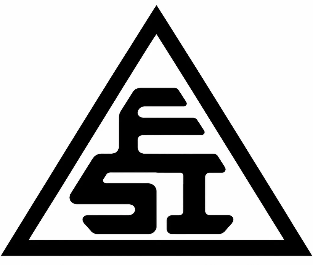 FSI Logo